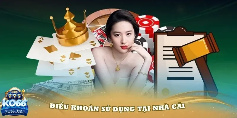 điều khoản KO66