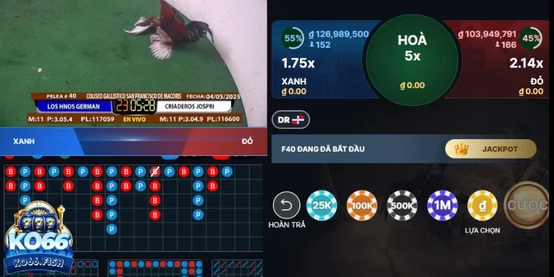 Hiểu nhanh về đá gà online KO66